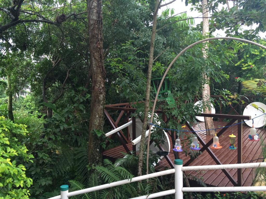 Hotel Pousada Reimar Balneário Camboriú 外观 照片